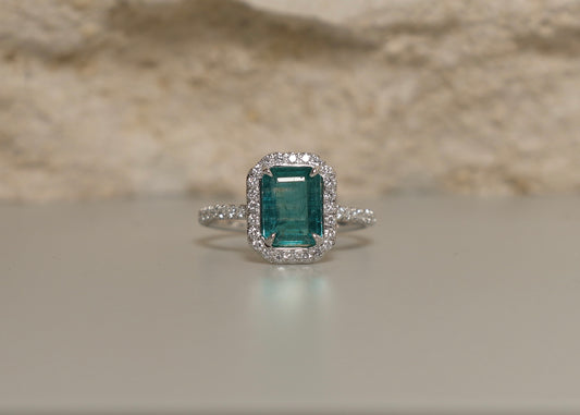Anne Ring